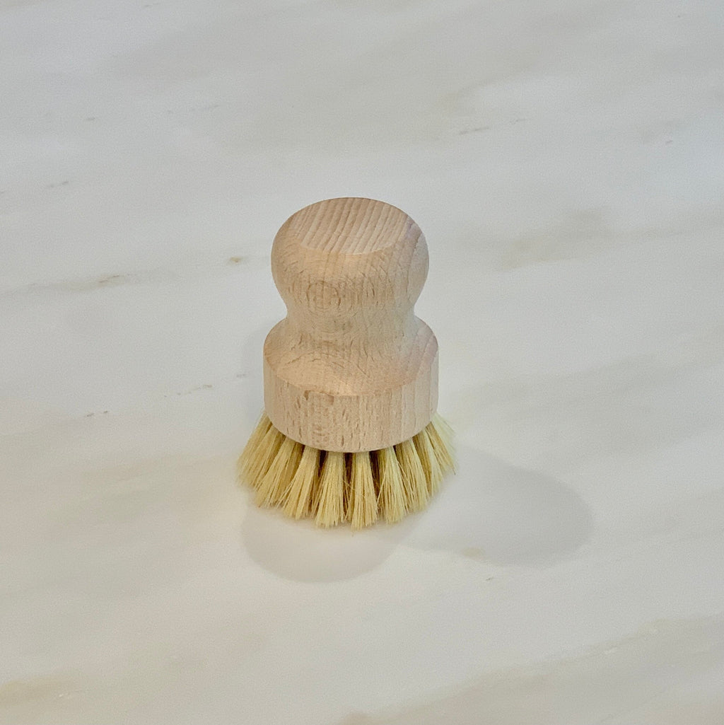 Handheld Dish Brush