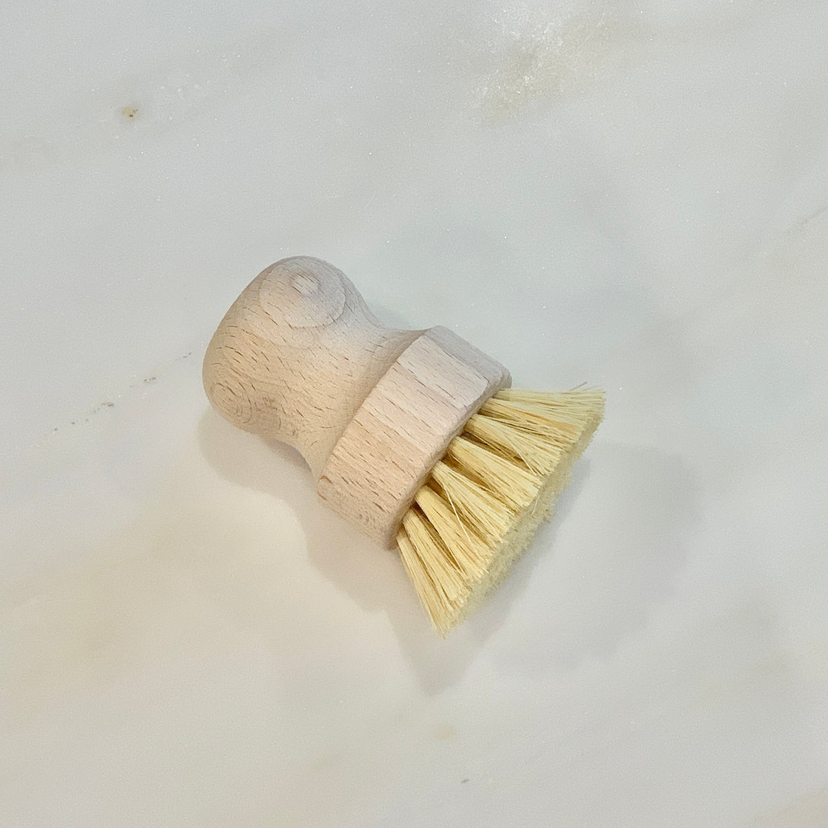 Handheld Dish Brush